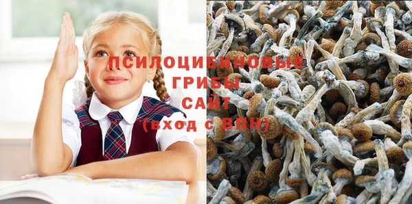 прущая мука Кукмор