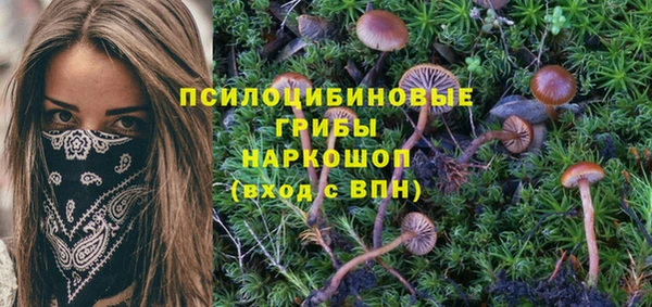 спайс Краснотурьинск