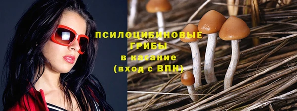 прущая мука Краснослободск