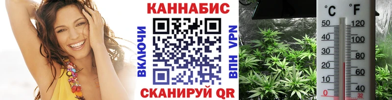 Купить где Ливны Канабис VHQ